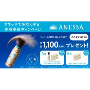 アネッサ ブラッシュオンパウダー現品 他