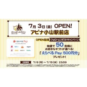 えらべるPay 500円分