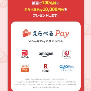 「えらべるPay(R)」10,000円分