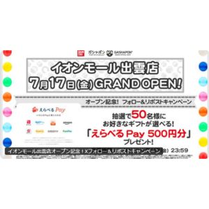 えらべるPay 500円分