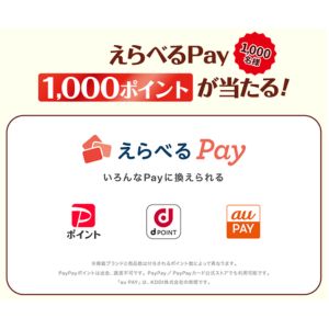 えらべるPay 1,000ポイント