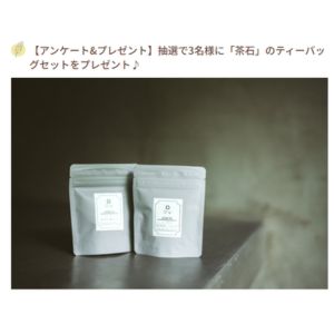 茶石 煎茶＆和紅茶ティーバッグセット