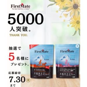 ファーストメイト ドッグフードまたはキャットフード 1kg
