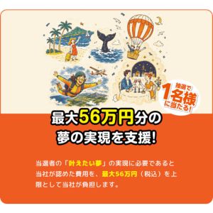夢を叶える権利（最大56万円分） 他