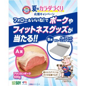 アメリカンポーク ロース500g 他