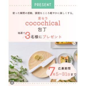 セラミックナイフ「COCOCHICAL」