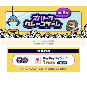 PayPayポイント1円相当