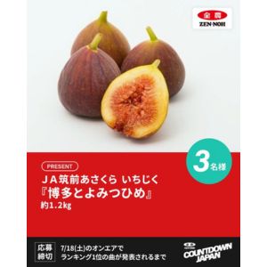 いちじく「博多とよみつひめ」約1.2kg