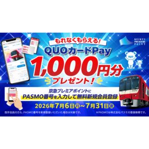 QUOカードPay 1,000円分