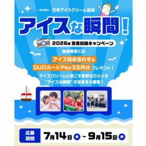 15種類のアイスクリーム詰め合わせ 他