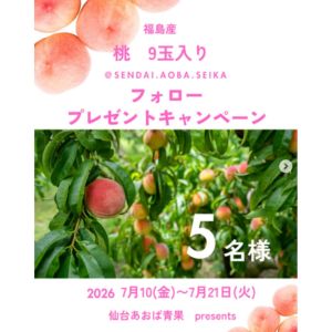 福島県産 桃9玉入り