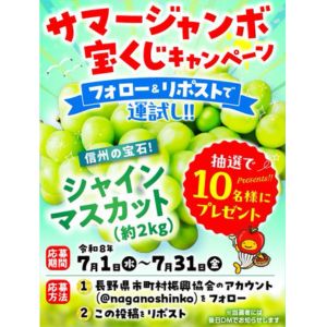 信州のシャインマスカット(約2kg)