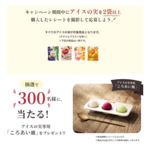 アイスの実専用「ころあい皿」