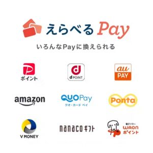 えらべるPay 1万円分