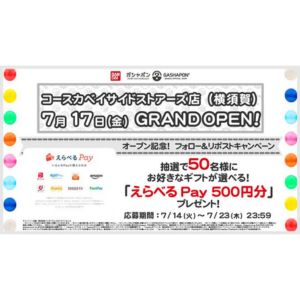 えらべるPay 500円分