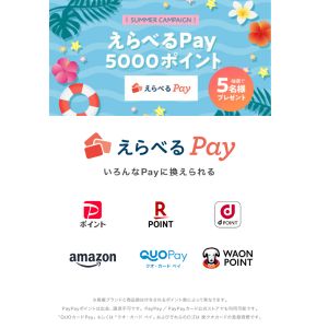 えらべるPay5,000円分