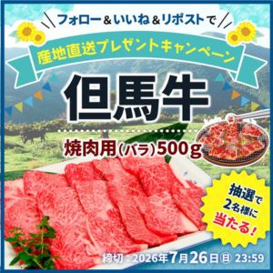 但馬牛 焼肉用（バラ）500g