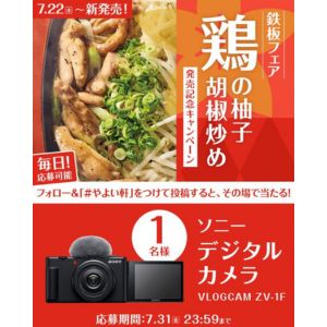 SONY デジタルカメラ「VLOGCAM ZV-1F」