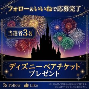 ディズニーペアチケット