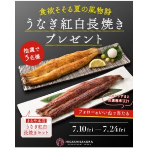 うなぎ紅白長焼セット