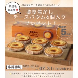 濃厚焦がしチーズバウム 6個入り
