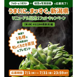 新潟県産 くろさき茶豆
