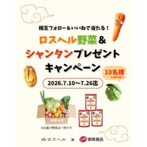 ロスヘル野菜＆創味シャンタンセット 他