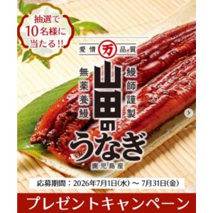 賞品画像：山田水産 鹿児島県産 山田のうなぎ
