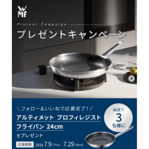 アルティメット プロフィレジスト フライパン 24