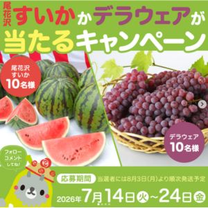 尾花沢すいか（1玉）、デラウェア