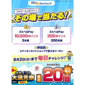 えらべるPay最大1万円分