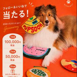 20万円現金、ペットおもちゃ