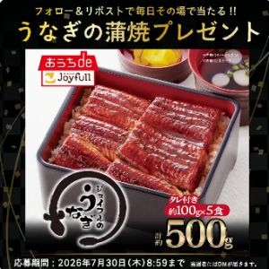 うなぎの蒲焼5食入り