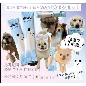 人もペットも使える紙おしぼりWANPO10本
