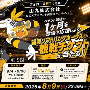 福岡ソフトバンクホークス観戦チケット