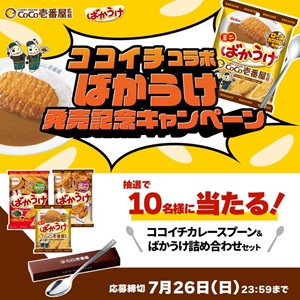 ココイチカレースプーン＆「ばかうけ」詰合せ