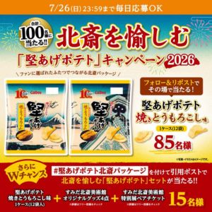 北斎を愉しむ「堅あげポテト」セット 他