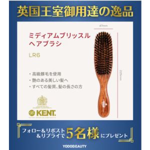 GB KENT 高級豚毛ヘアブラシLR6