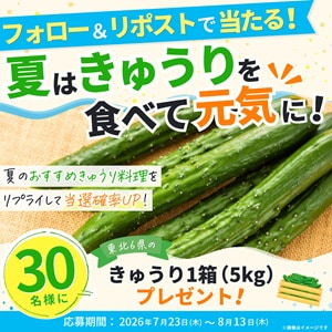 きゅうり1箱(5kg)