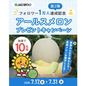 豊川産アールスメロン1箱（2玉）