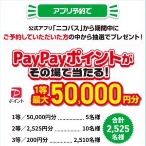 PayPayポイント最大5,000円分