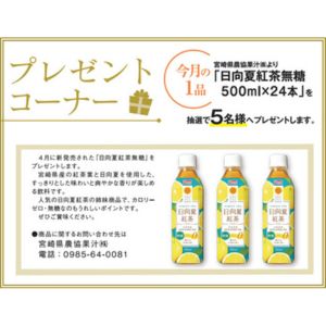 日向夏紅茶 無糖 500ml×24本