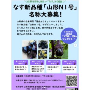山形県産米「つや姫」10kg