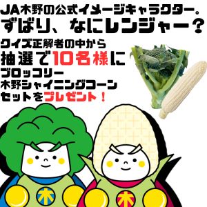ブロッコリー＆ホワイトコーンセット
