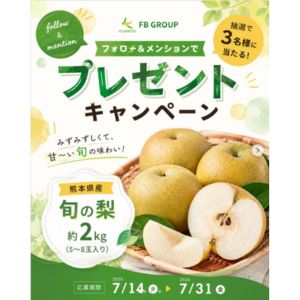 賞品画像：熊本県 梨 約2kg