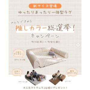 賞品画像：ゆったりまったりクッション一体型ラグ