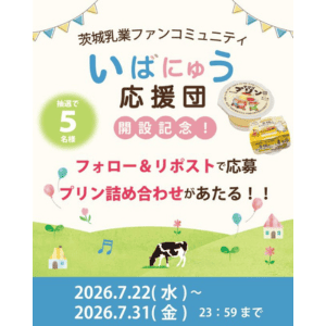 プリン詰め合わせ