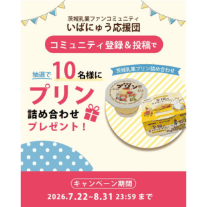 プリン詰め合わせ