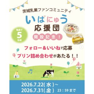 プリン詰め合わせ