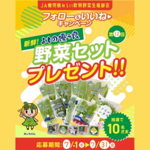 JA鹿児島みらい よしの優ラ良 野菜セット